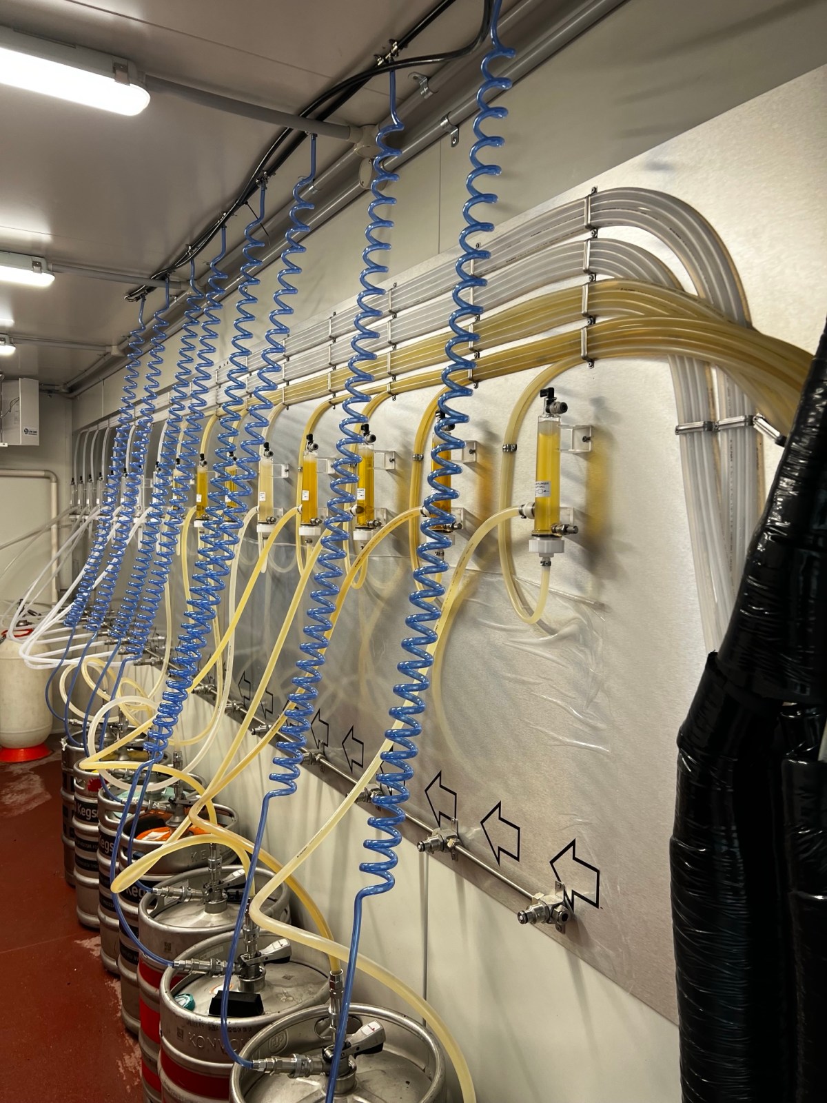 Keg room with neatly run beer lines, FOB detectors and gas lines
